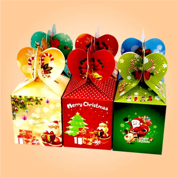 CHRISTMAS-PACKAGING-BOXES-5