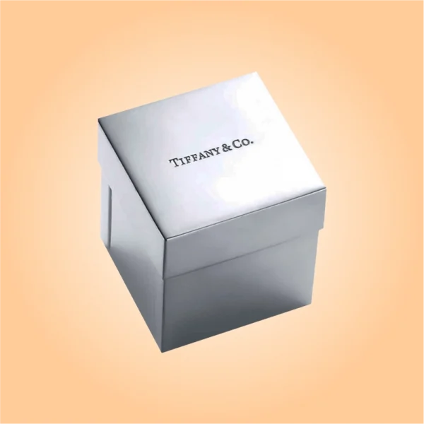 Custom-Silver-Foiling-Box-6