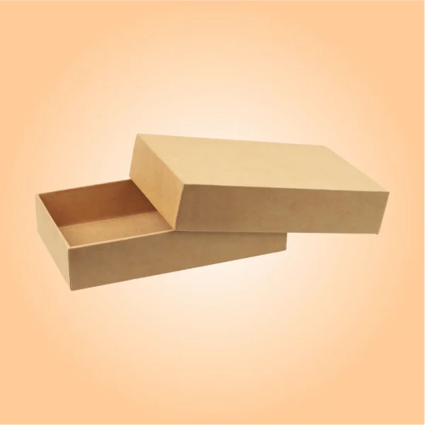 ECO-FRIENDLY-SEPARATE-LID-BOXES-2