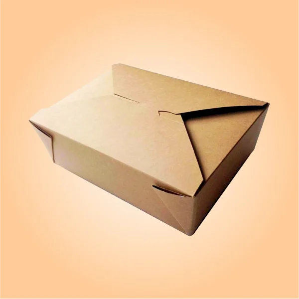 Custom-Design-Kraft-Food-Boxes-1