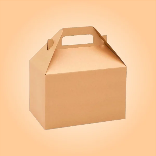 Custom-Eco-Friendly-Gable-Boxes-3