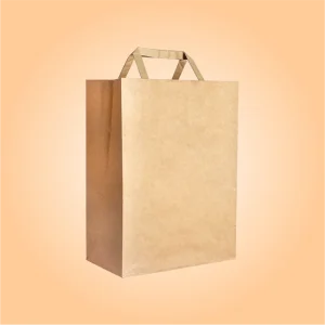 Custom-Flat-Handle-Paper-Bags-1