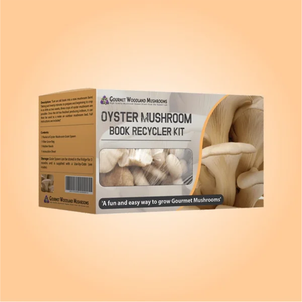 Mushroom-Boxes-1