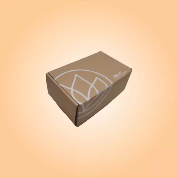 cosmetic Kraft paper boxes-3